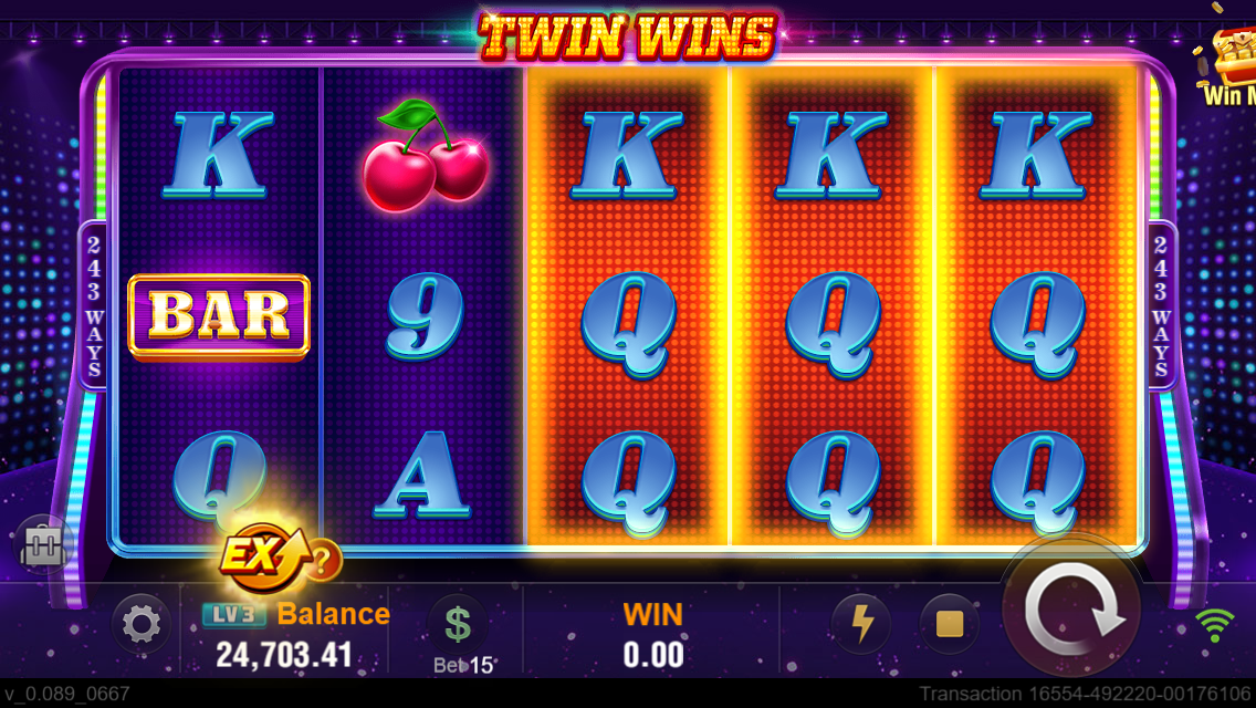 TWIN WINS Screenshot