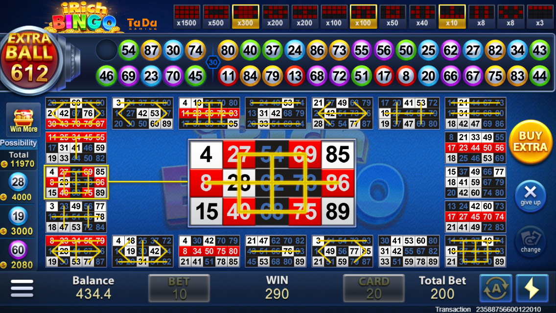 iRich Bingo Screenshot