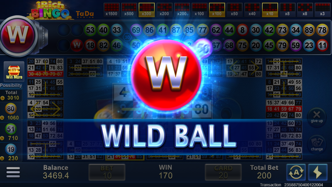 iRich Bingo Screenshot