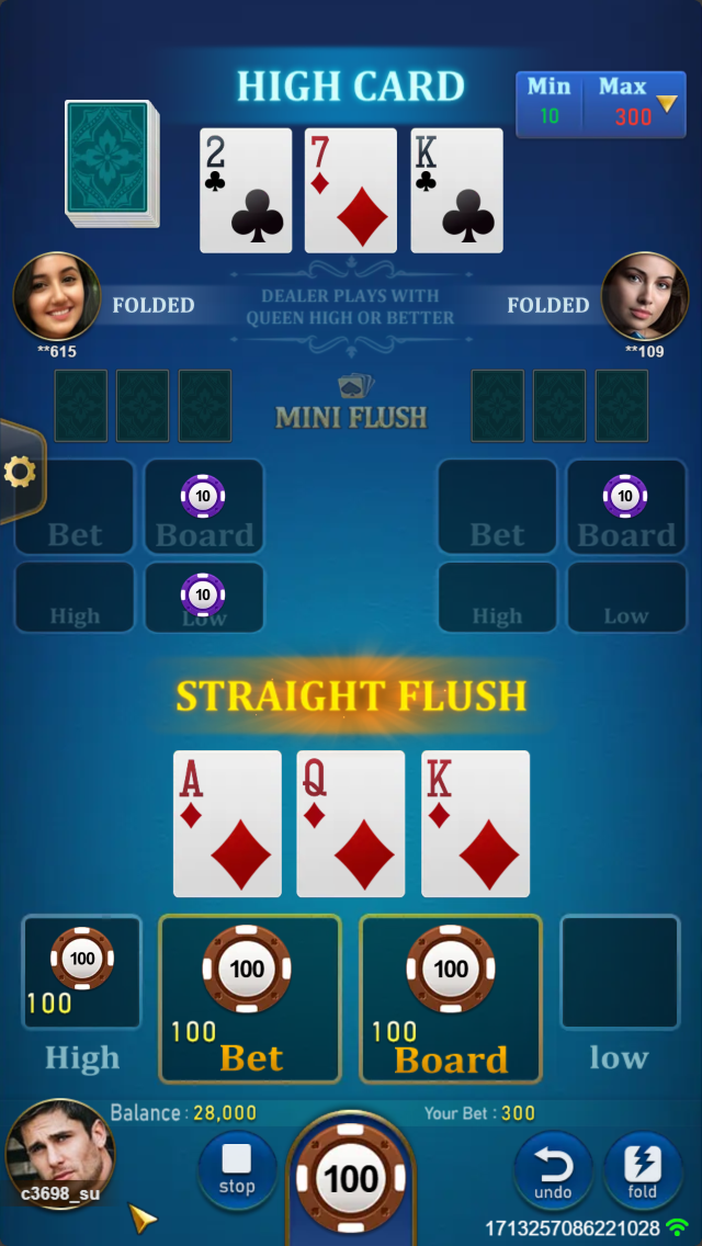 MINI FLUSH Screenshot