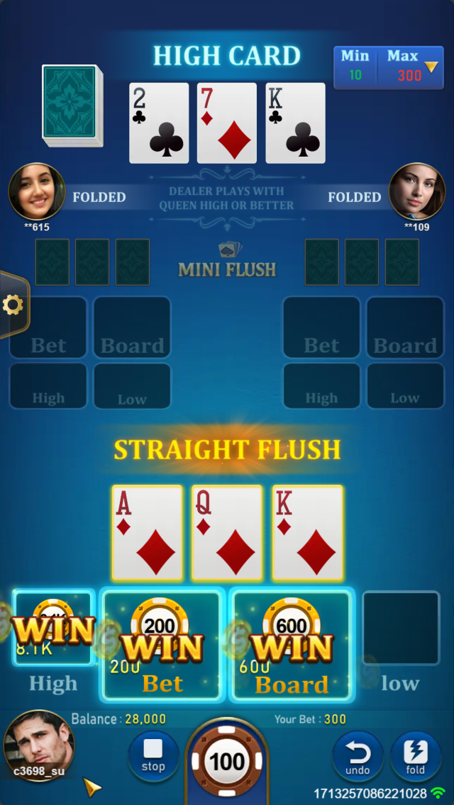 MINI FLUSH Screenshot