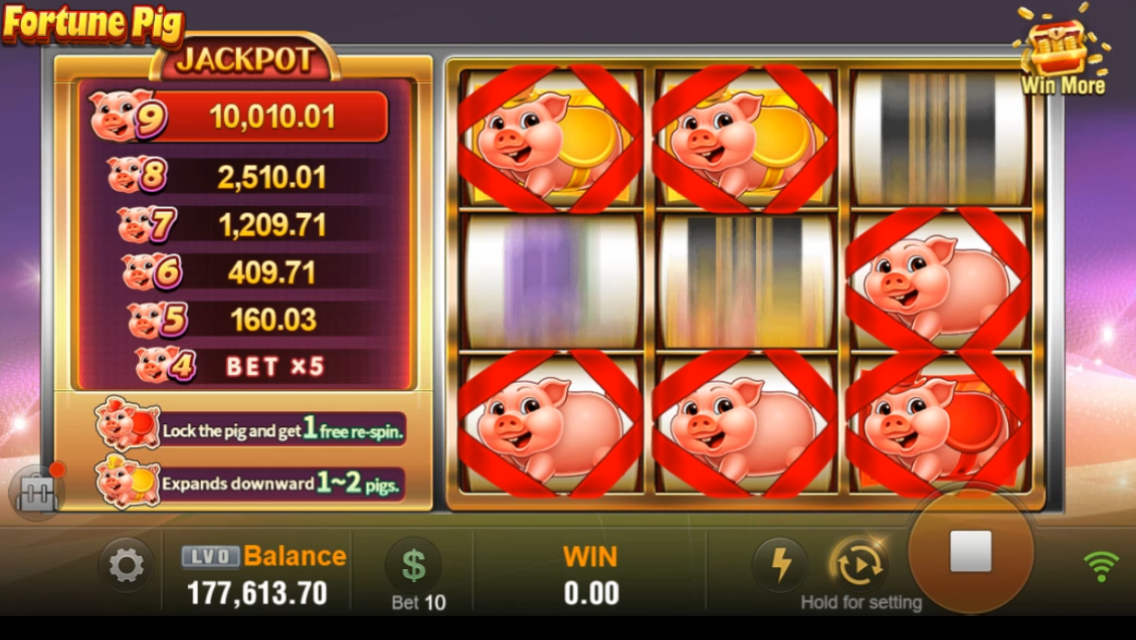 Fortune Pig Screenshot