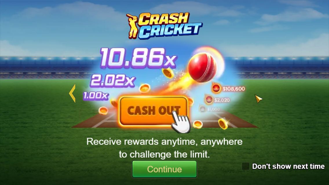 Crash Cricket Screenshot