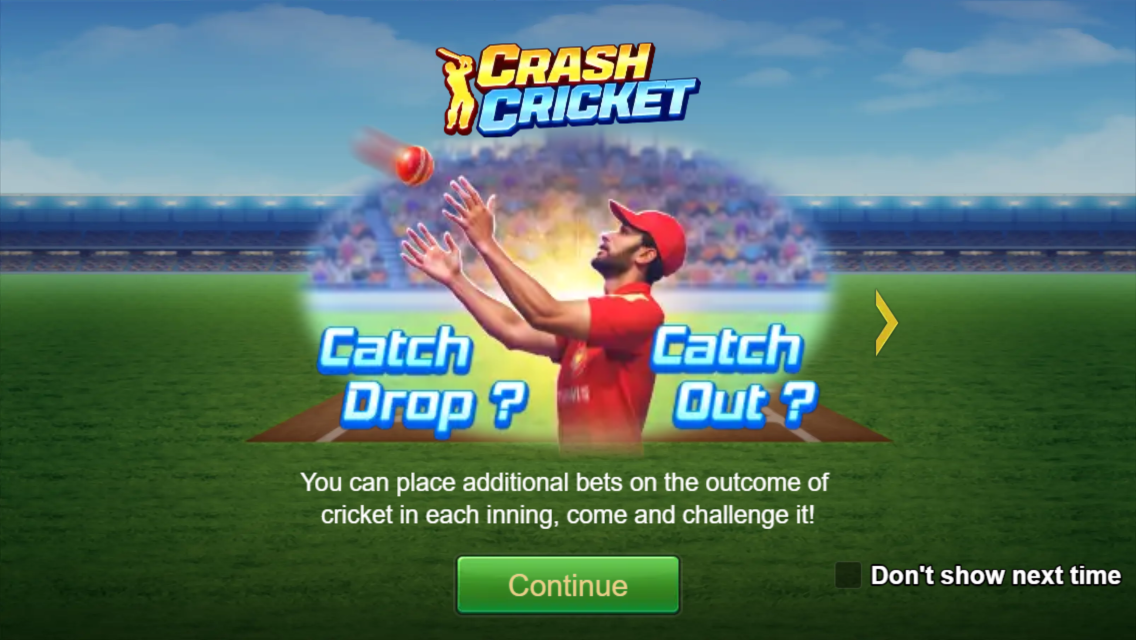Crash Cricket Screenshot